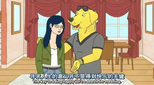 狗变成人动画博主视频,动画博主带你领略神奇变身之旅